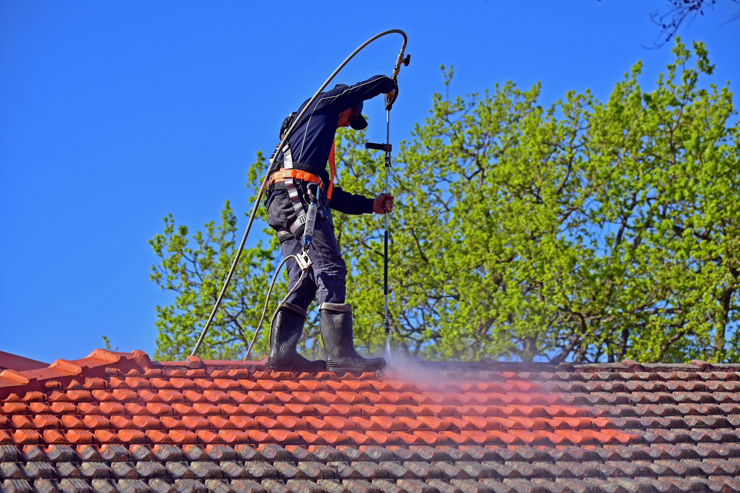 Mould Removal